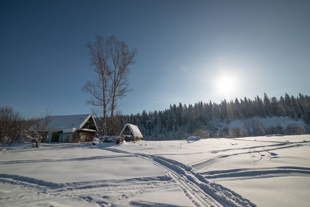 Фотография автора NIKOLAY KALININ