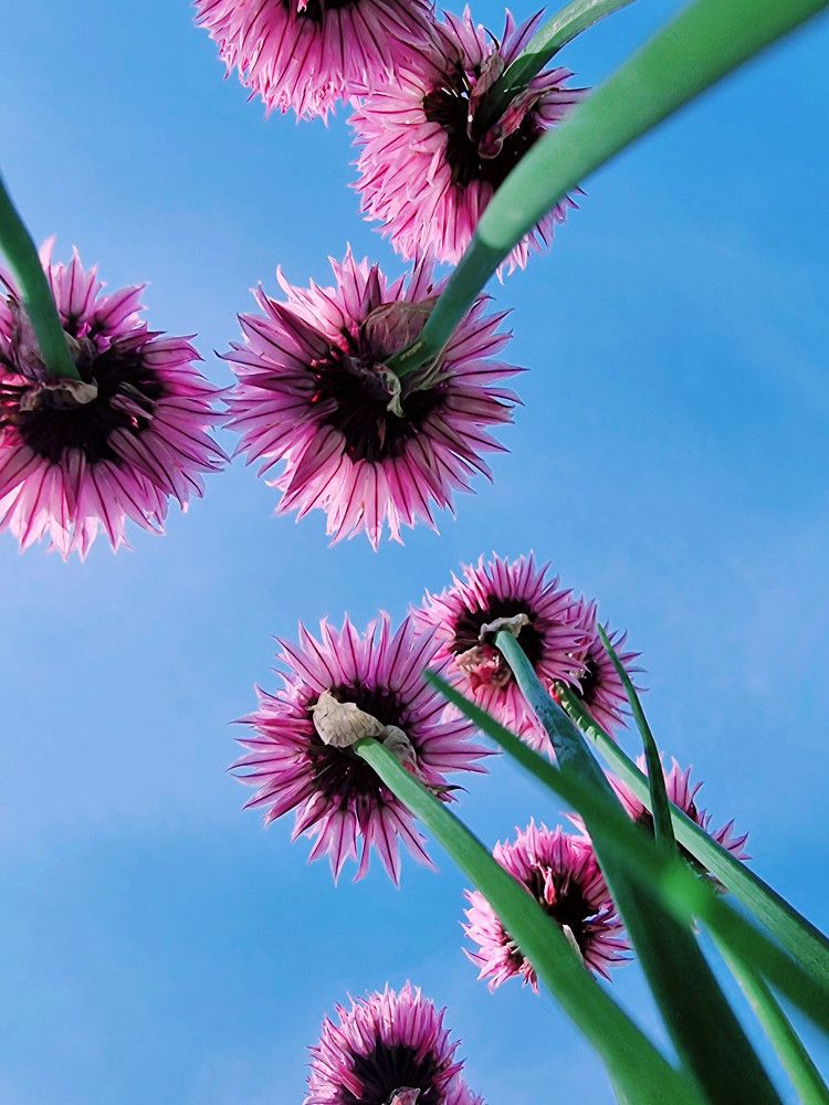 На фоне неба