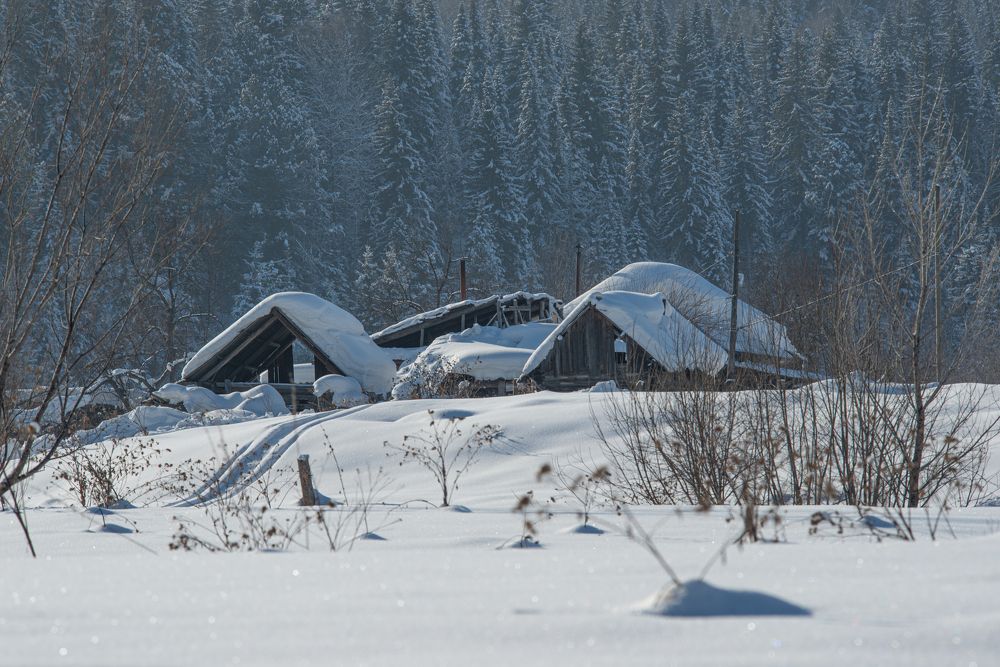 Фотография автора NIKOLAY KALININ
