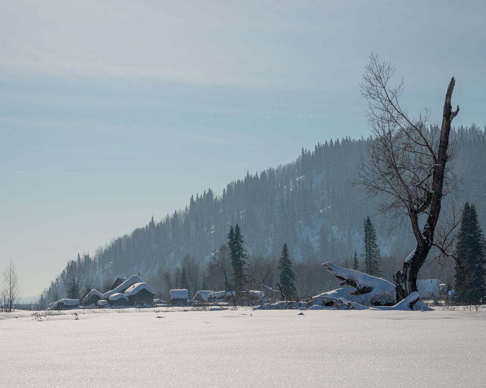 Фотография автора NIKOLAY KALININ
