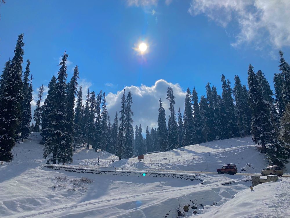 Photograph by Sharma Dr Megha