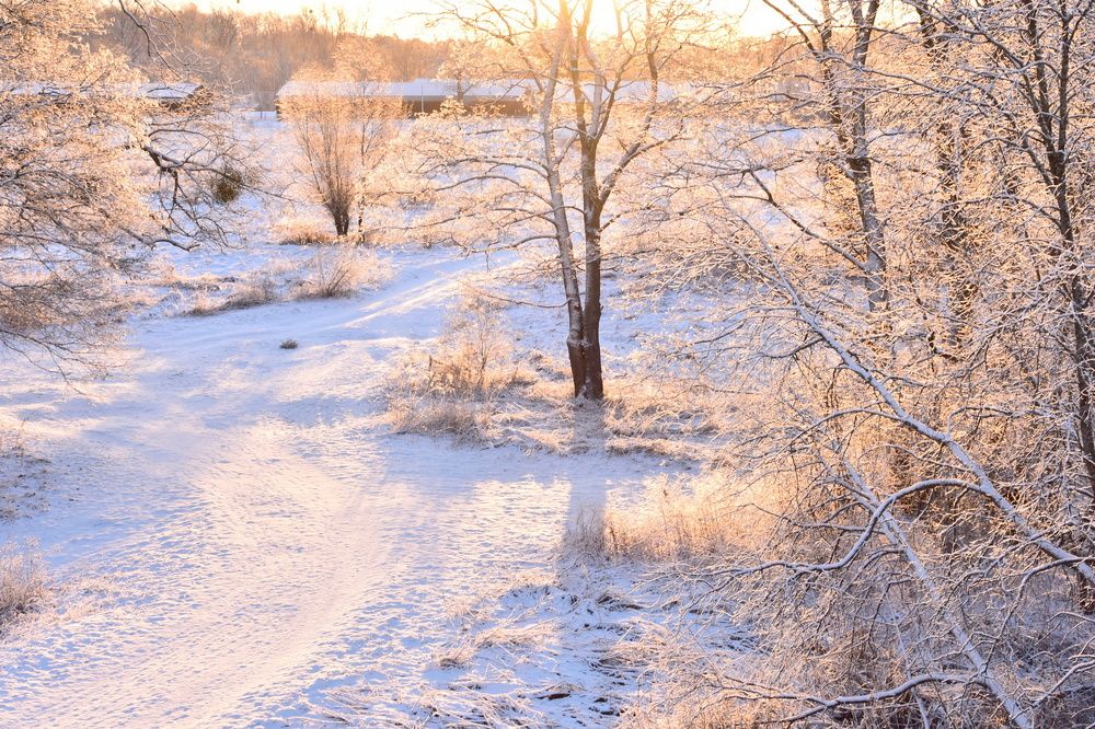 Photograph by Ирина Алексеева