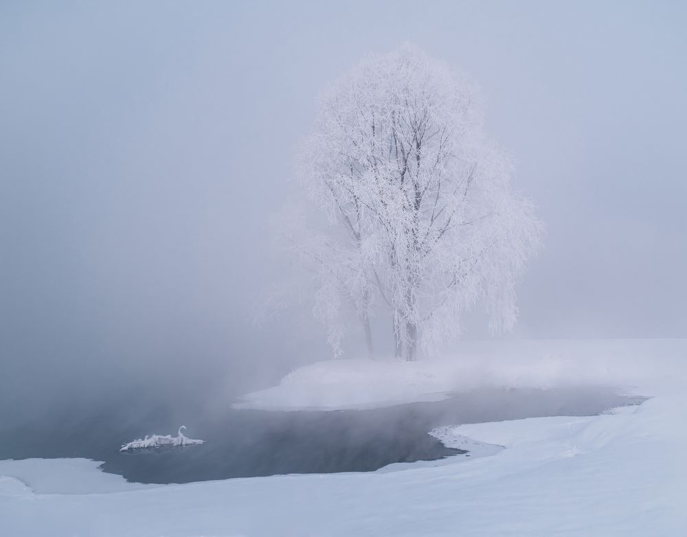 Photograph by NIKOLAY KALININ