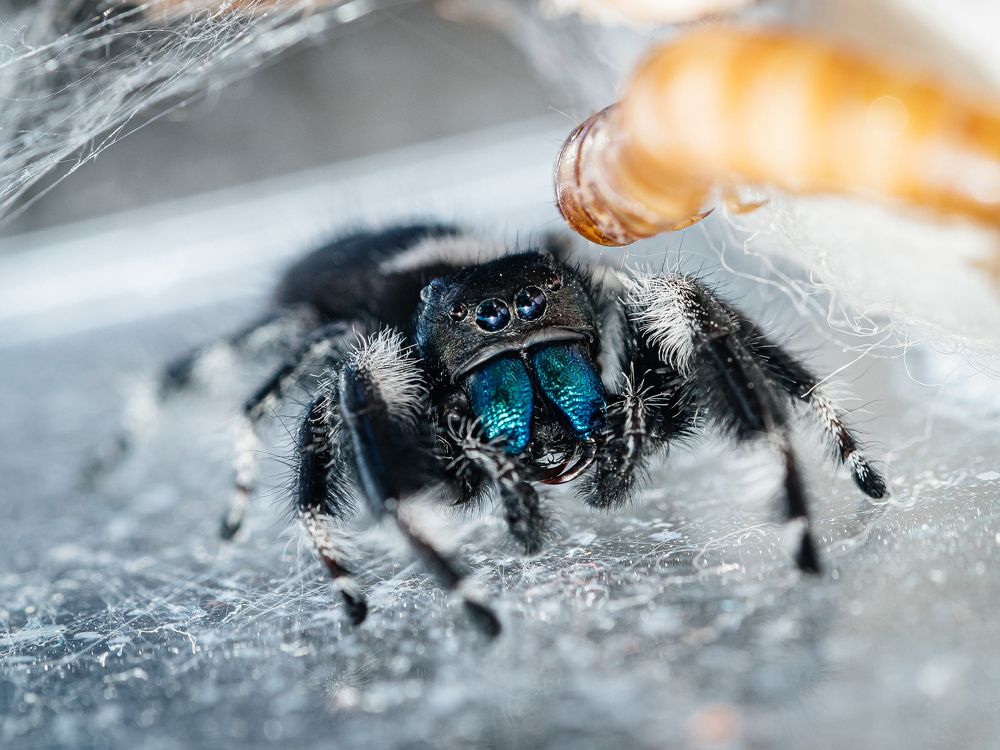 Photograph by Olga Link