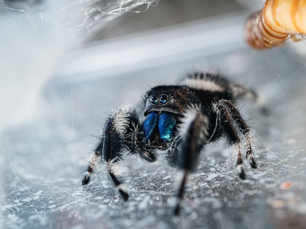 Photograph by Olga Link