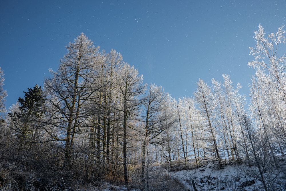 Фотография автора NIKOLAY KALININ