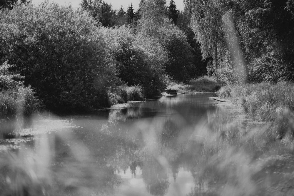 Photograph by Ольга Темкина