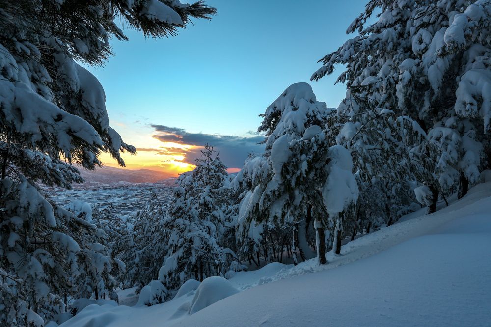 Фотография автора Ahmad Hazbouz