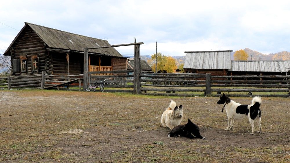 В деревне Верхний Уймон