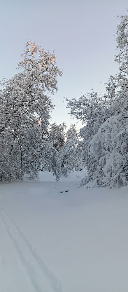 Photograph by Елена Маликова