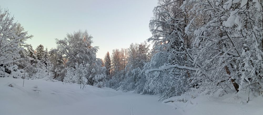 Photograph by Елена Маликова