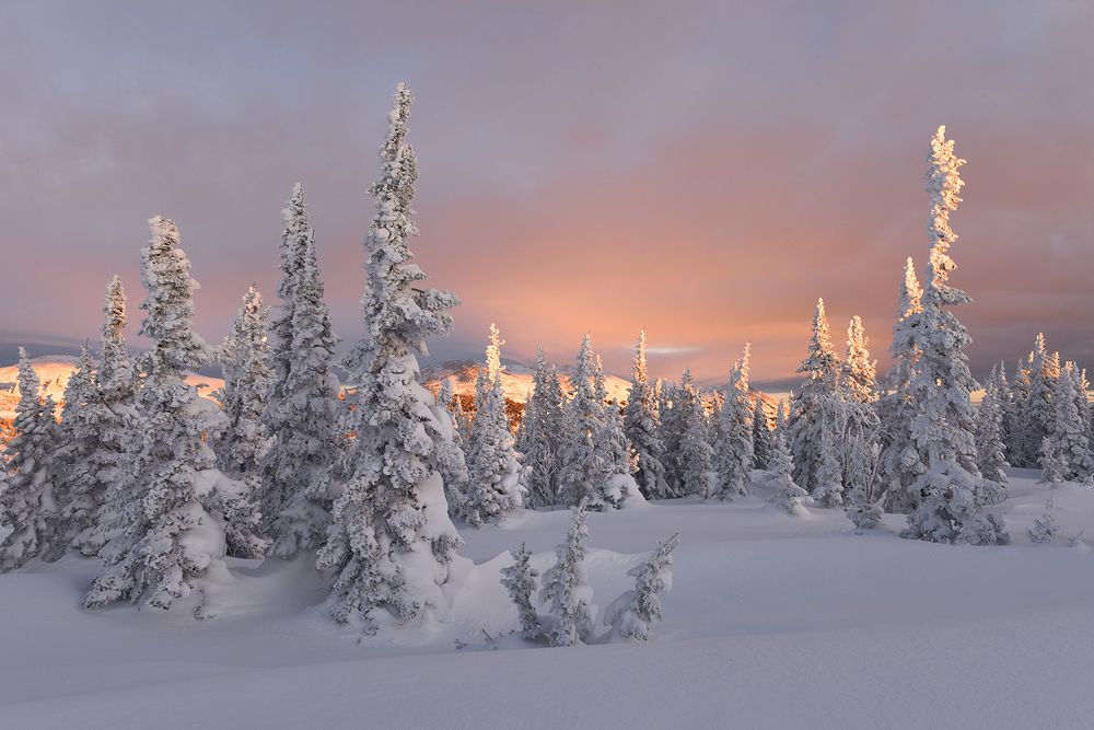 Photograph by Inna Sidorenko