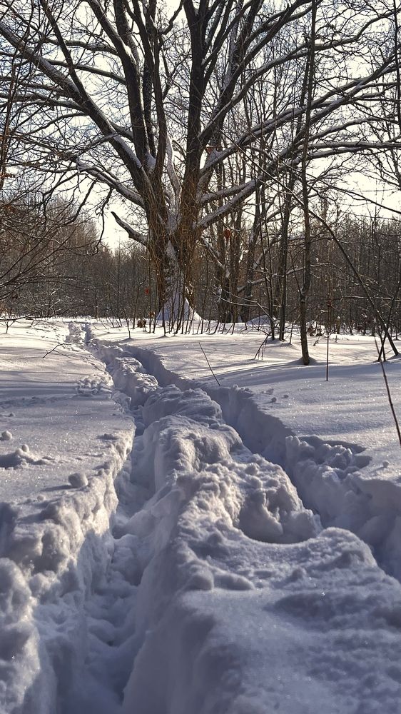 Photograph by Татьяна