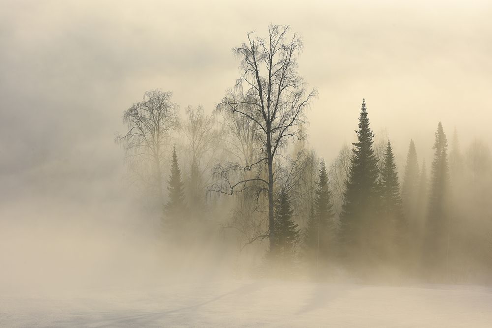 Photograph by Inna Sidorenko