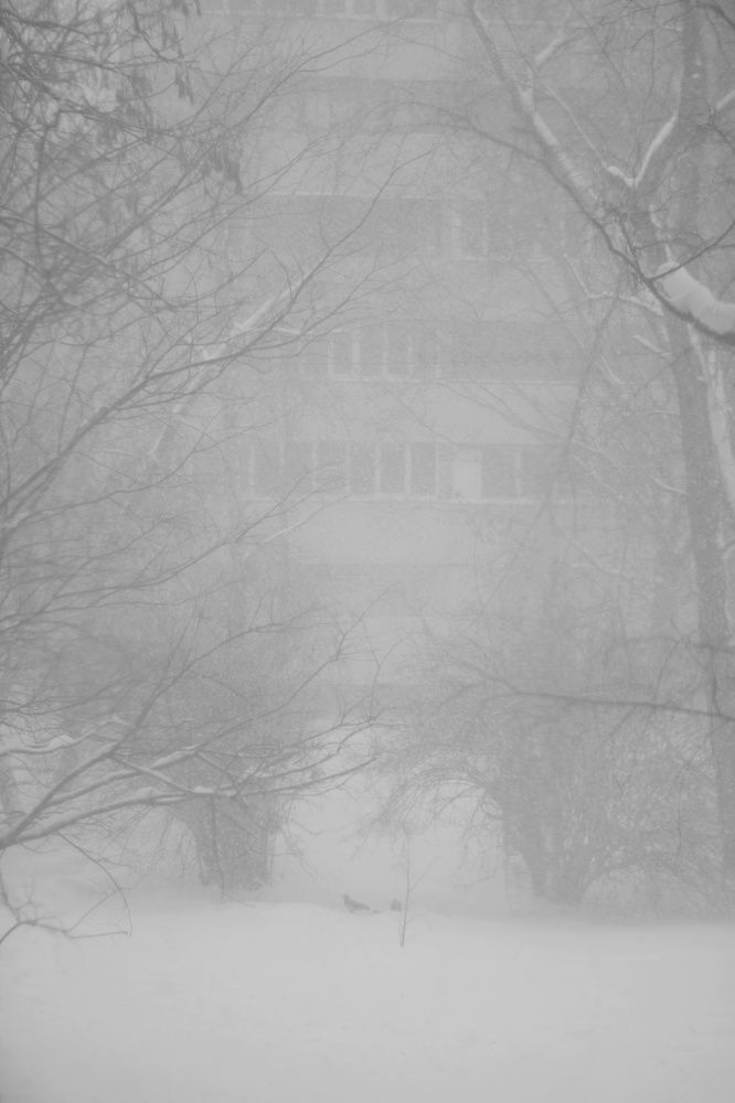 Photograph by Татьяна Аршинова