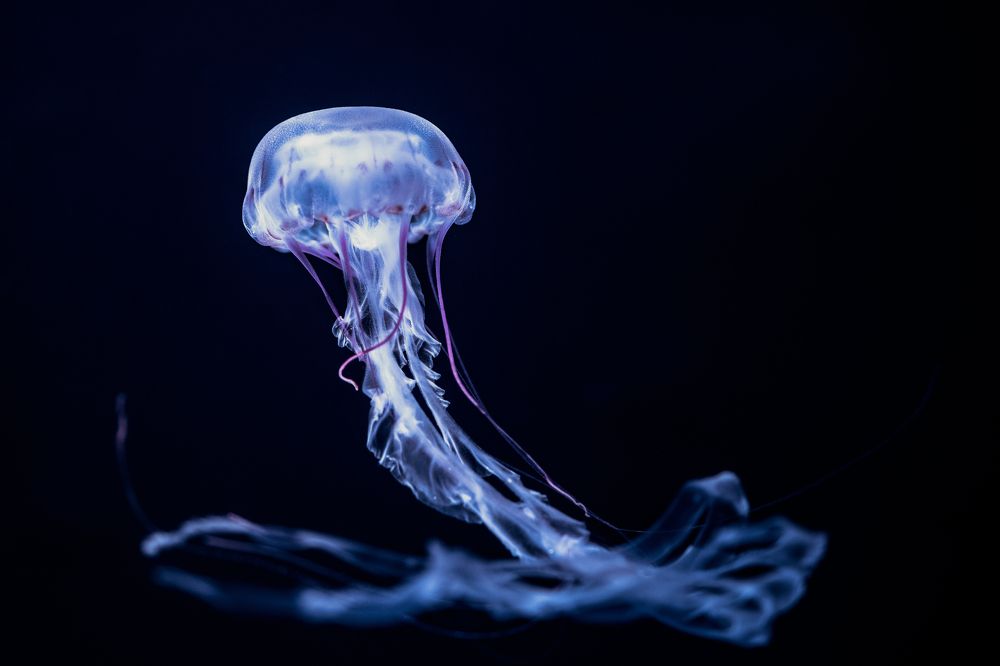 Stirring up the abyss