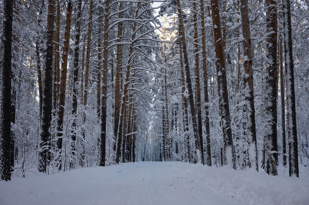 Photograph by Владимир Коровин