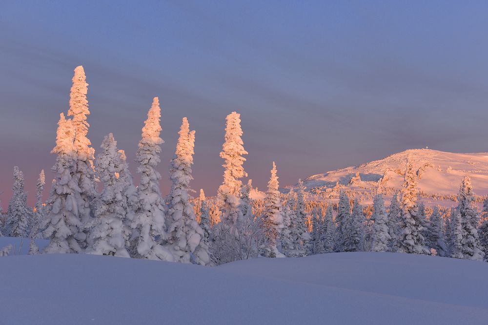 Photograph by Inna Sidorenko