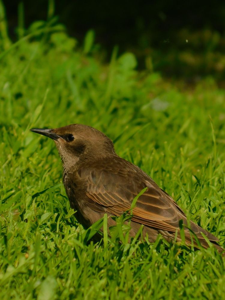 Photograph by Алена