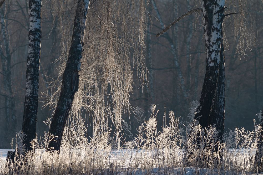 Photograph by Денис Пронин