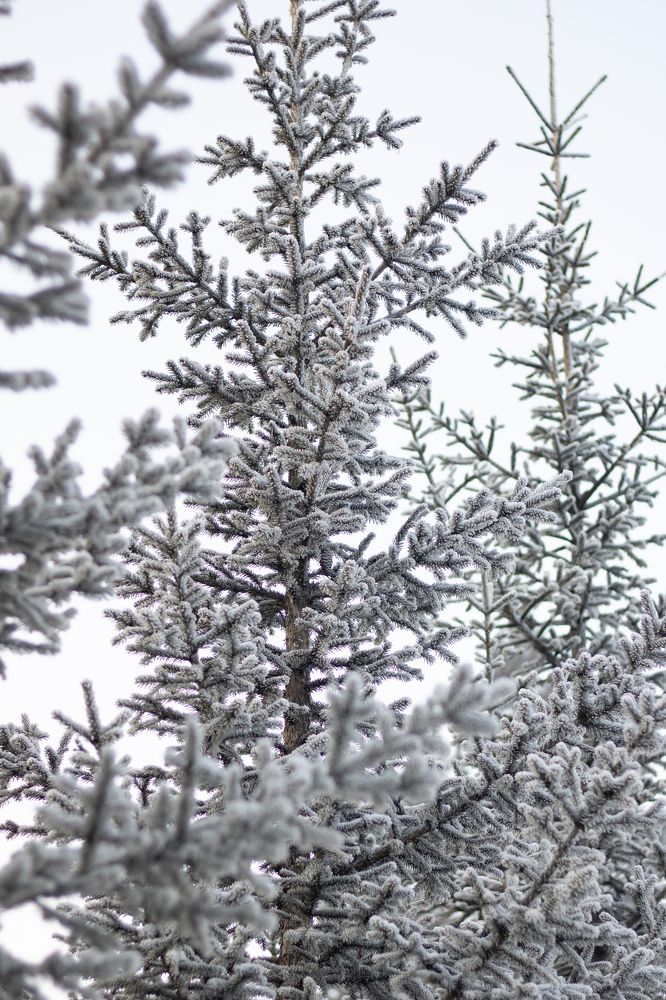 Фотография автора Егор Пешков