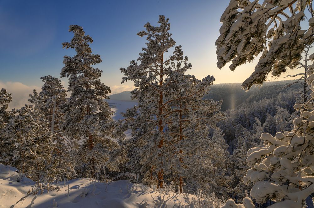 Photograph by Дмитрий Бухтик