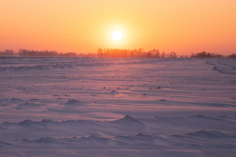 Фотография автора Ксения Осипова