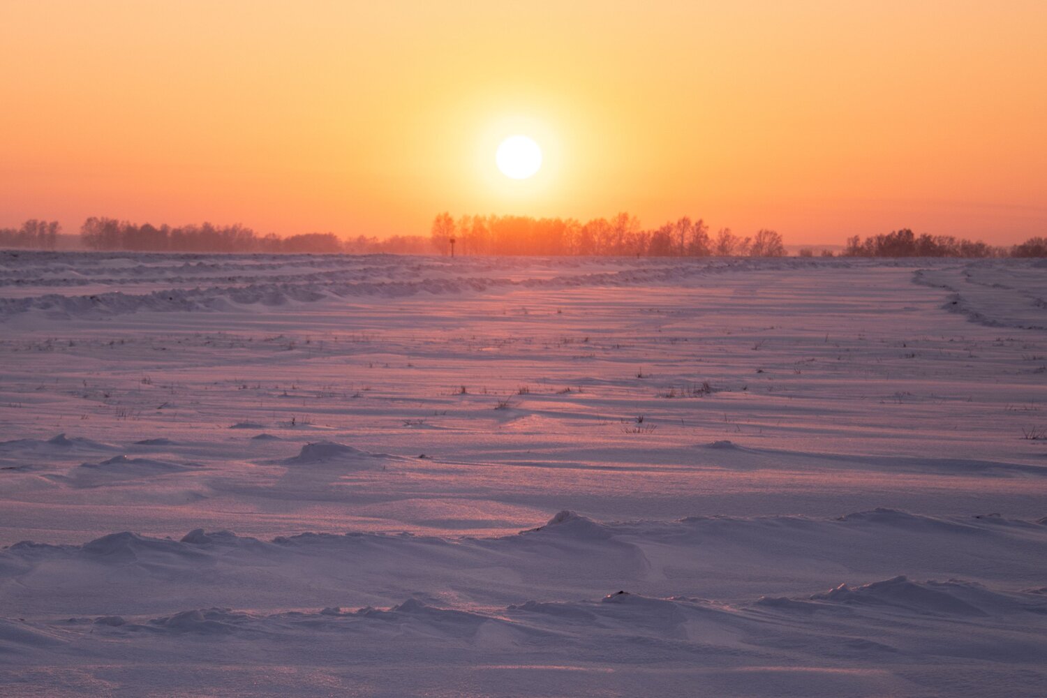Photo #10165161