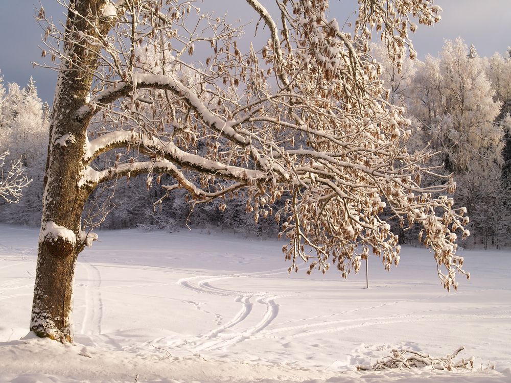 Photograph by Agita Leimane