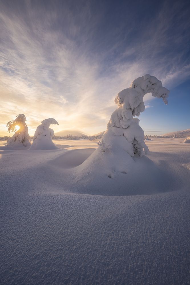 Photograph by Сергей Алтушкин