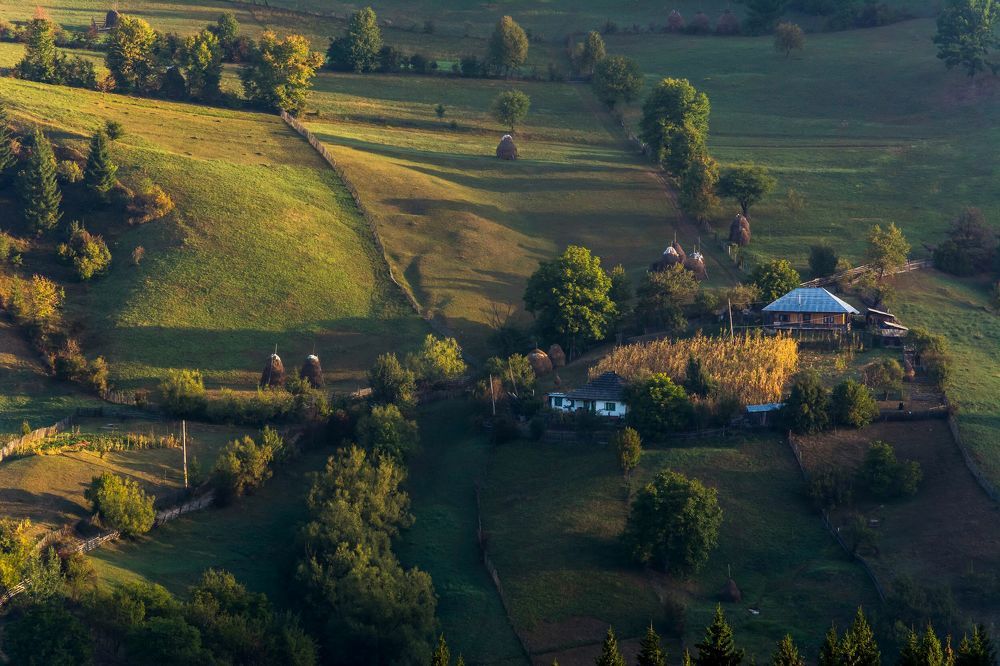Фотография автора  Florin