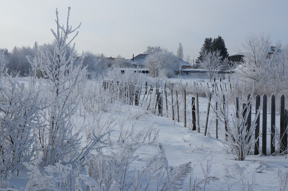 Photograph by Андрей Хитрун