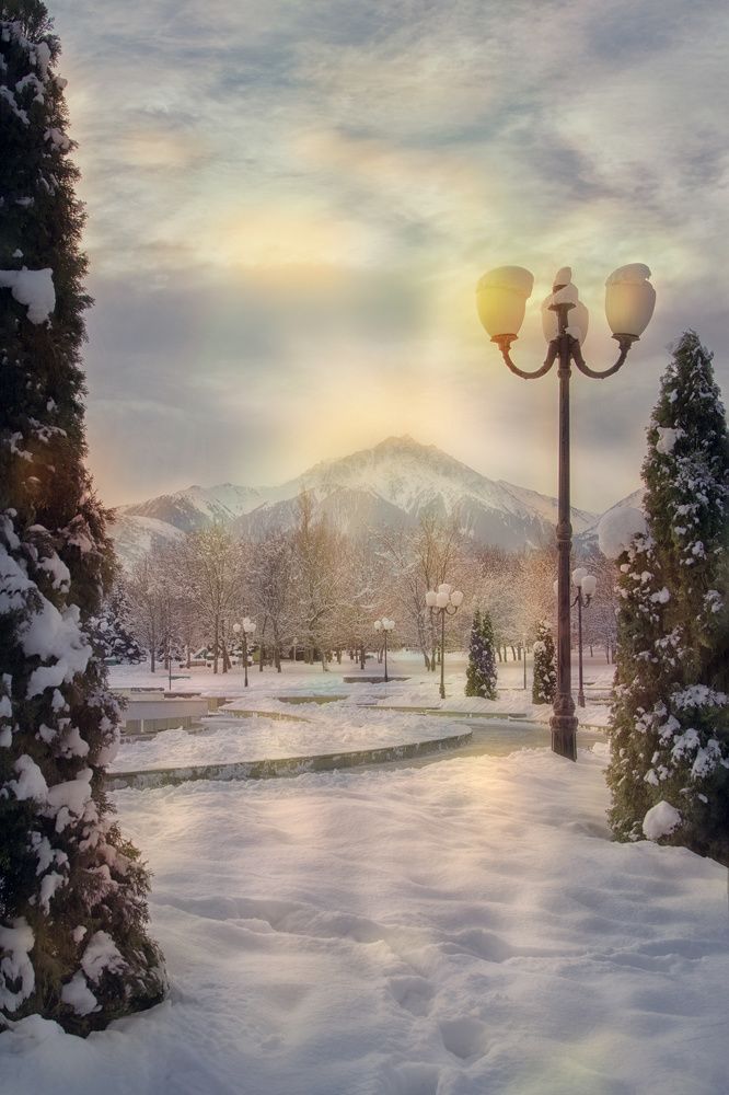 Прекрасное морозное утро.