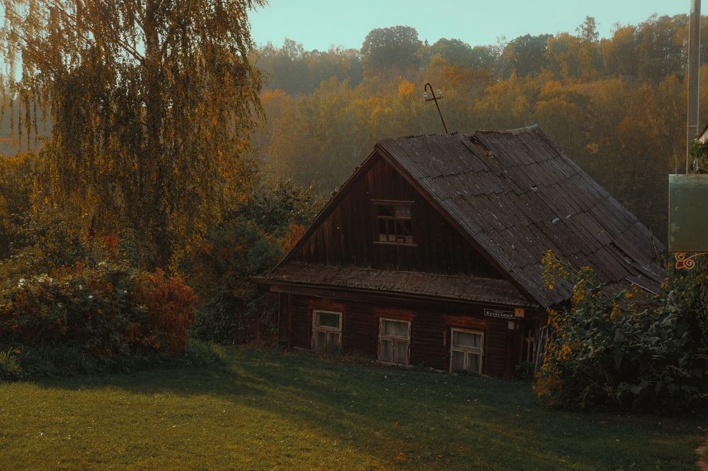 Photograph by Дарья Пысина