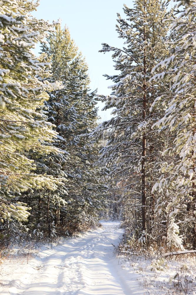 Photograph by Наталья Исаева