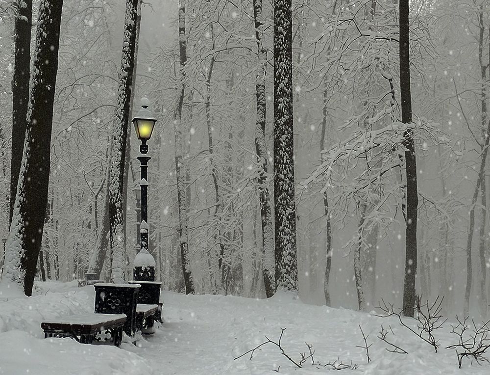 Photograph by Natalia Bolotenkova