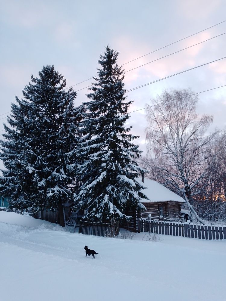 Photo #10165414