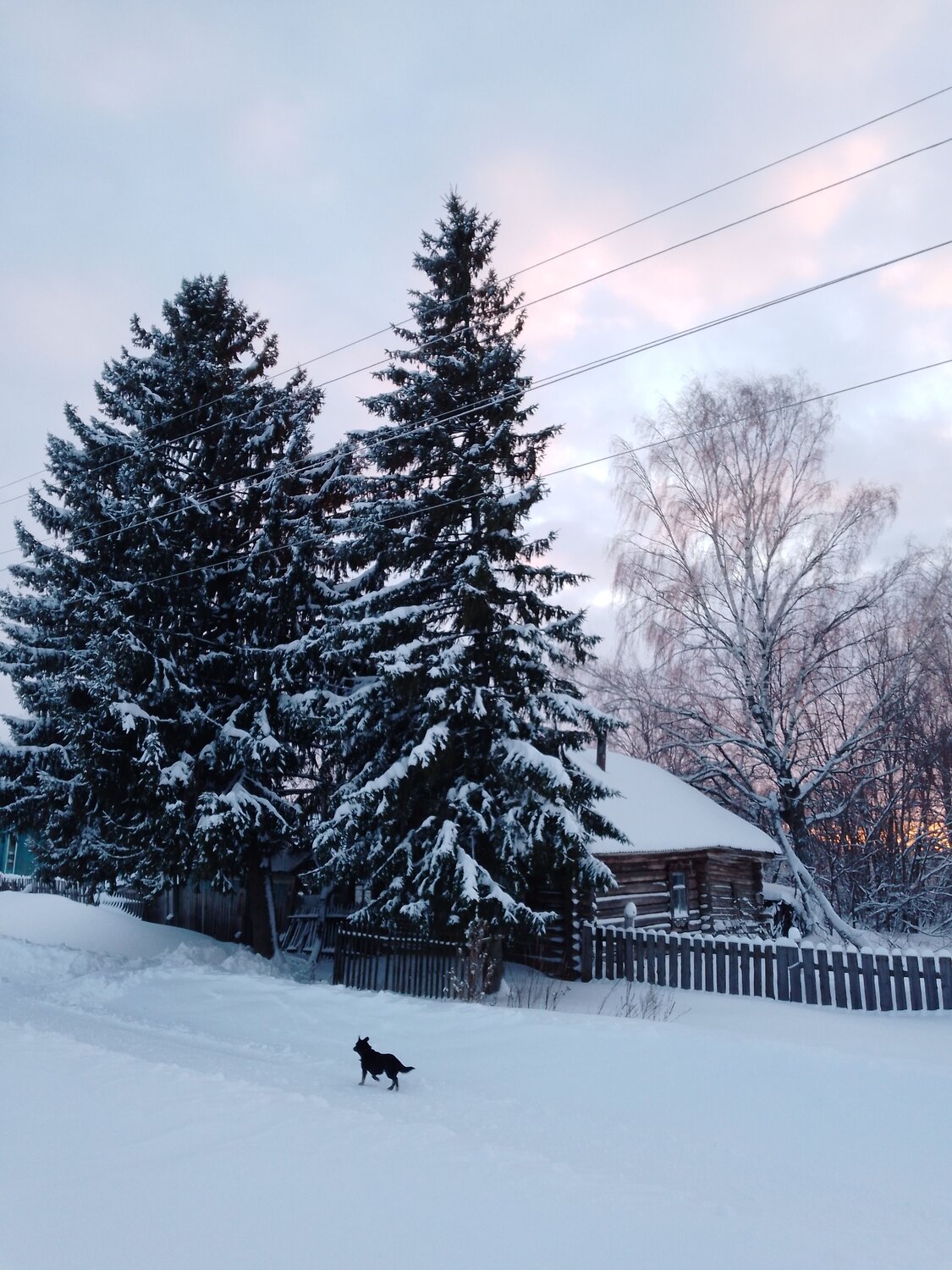 Photo #10165414