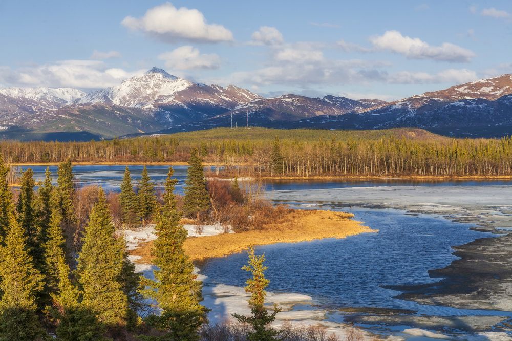 Фотография автора Анатолий