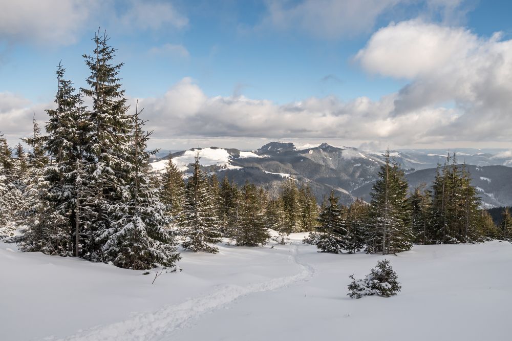 Фотография автора  Florin