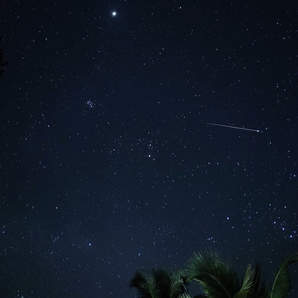 Photo #10165475