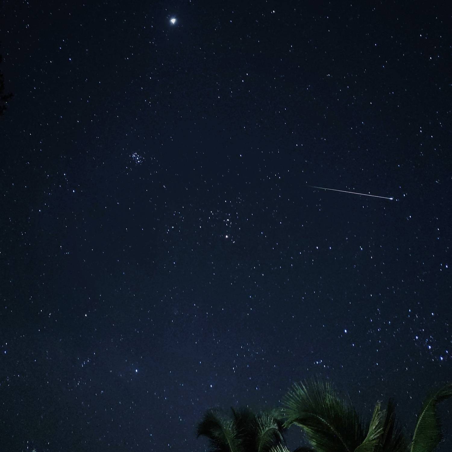 Photo #10165475