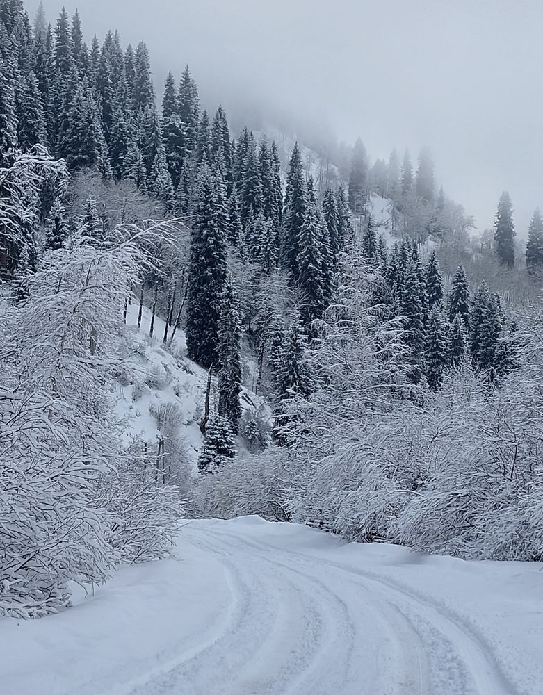 Photograph by Анна Чичилова