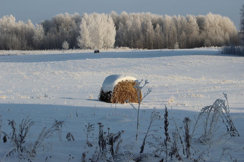 Сибирские красоты.