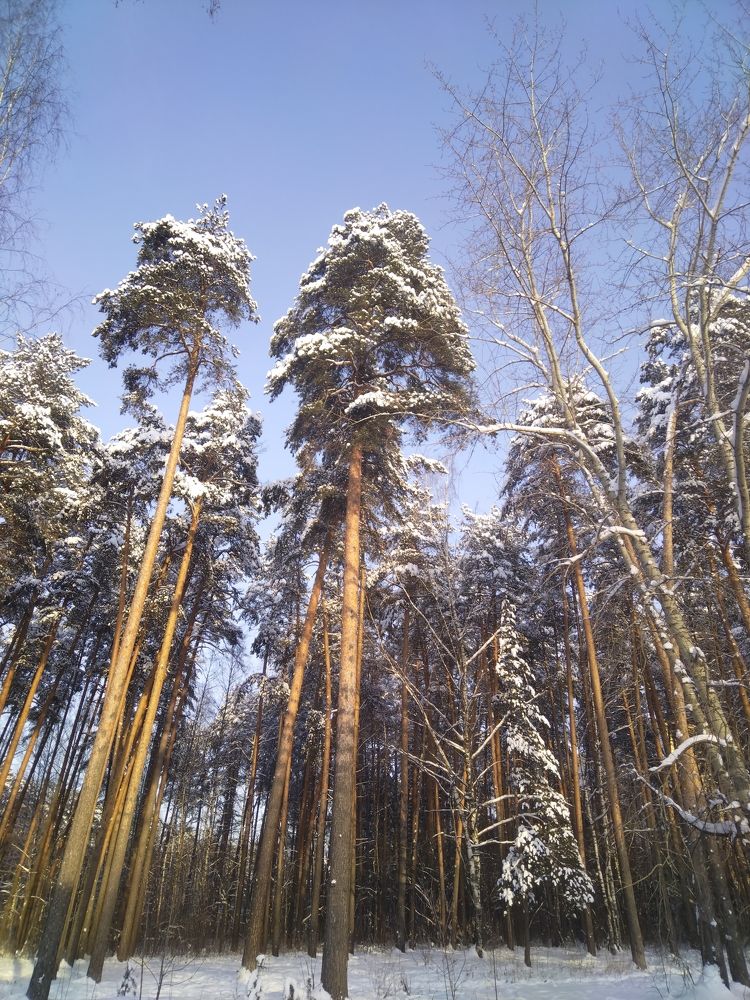 Photo #10165534