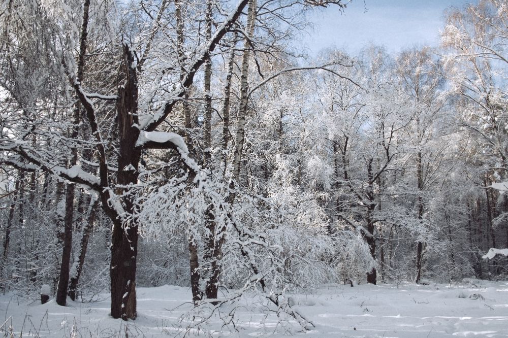 Заколдован невидимкой…