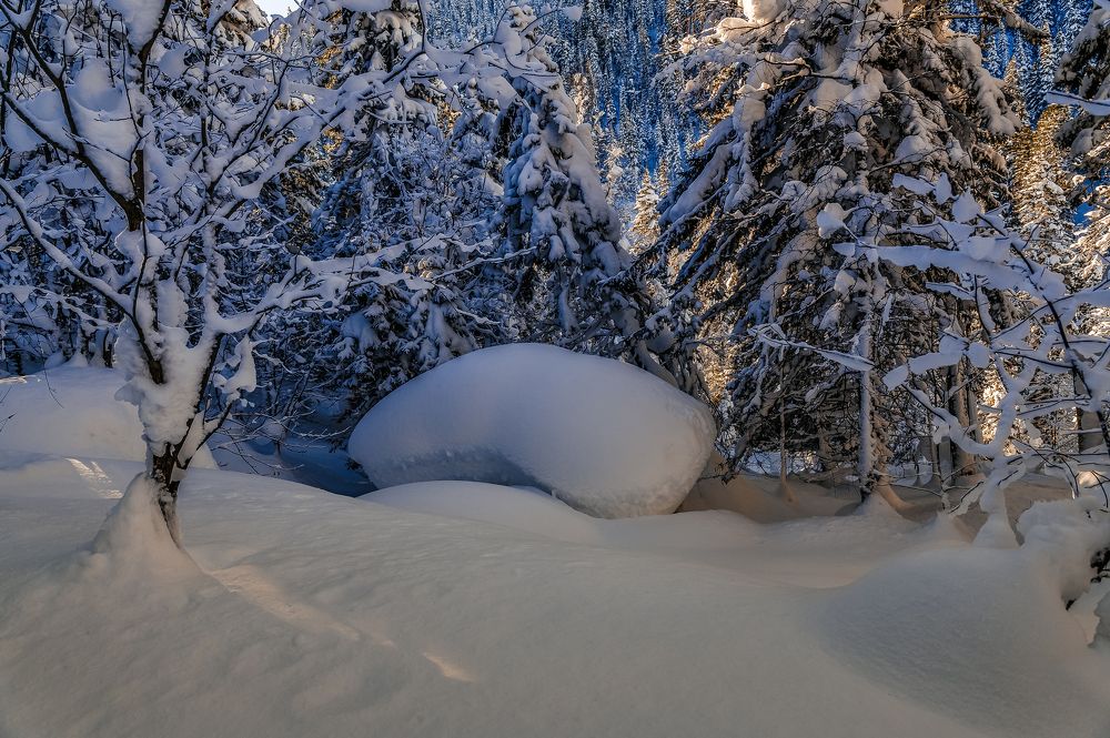 Photograph by Дмитрий Бухтик