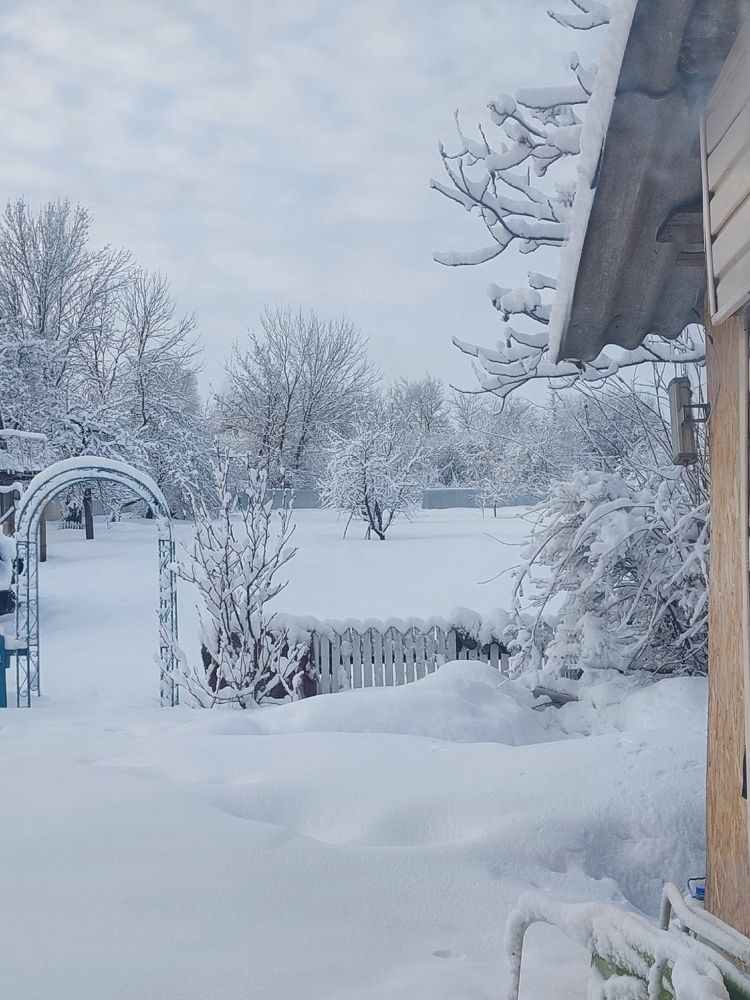 Photograph by Валентина Назина