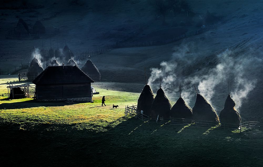 Photograph by Diana Buzoianu