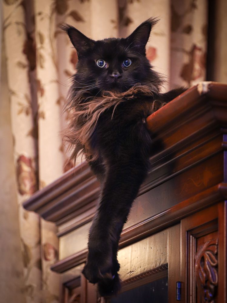 Photograph by Игорь Толкачев